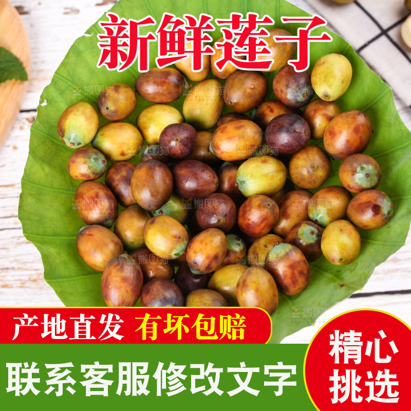 荷叶上摆放着莲蓬子