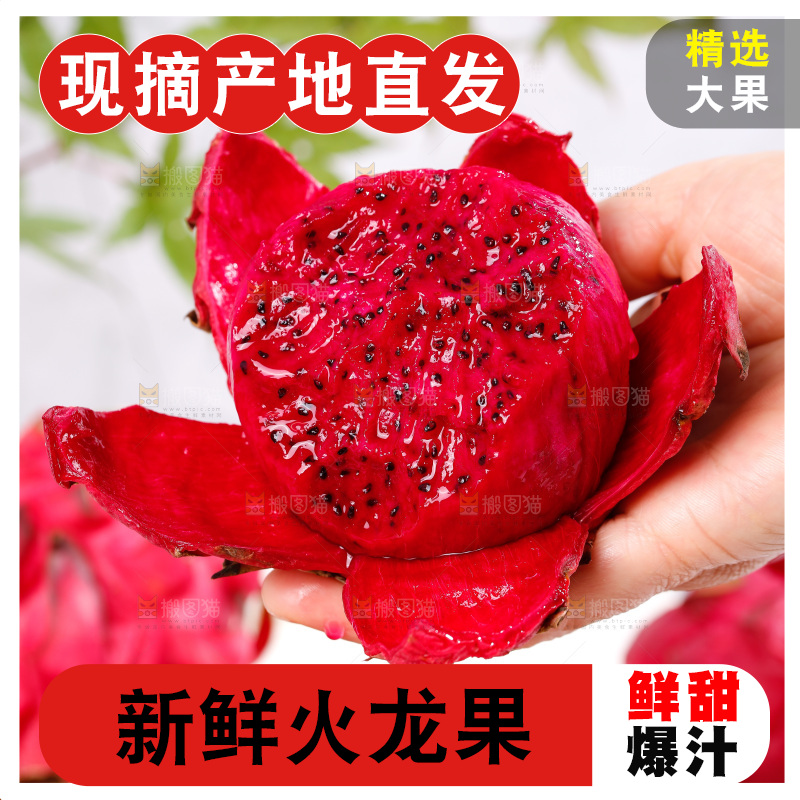 手里拿着火龙果