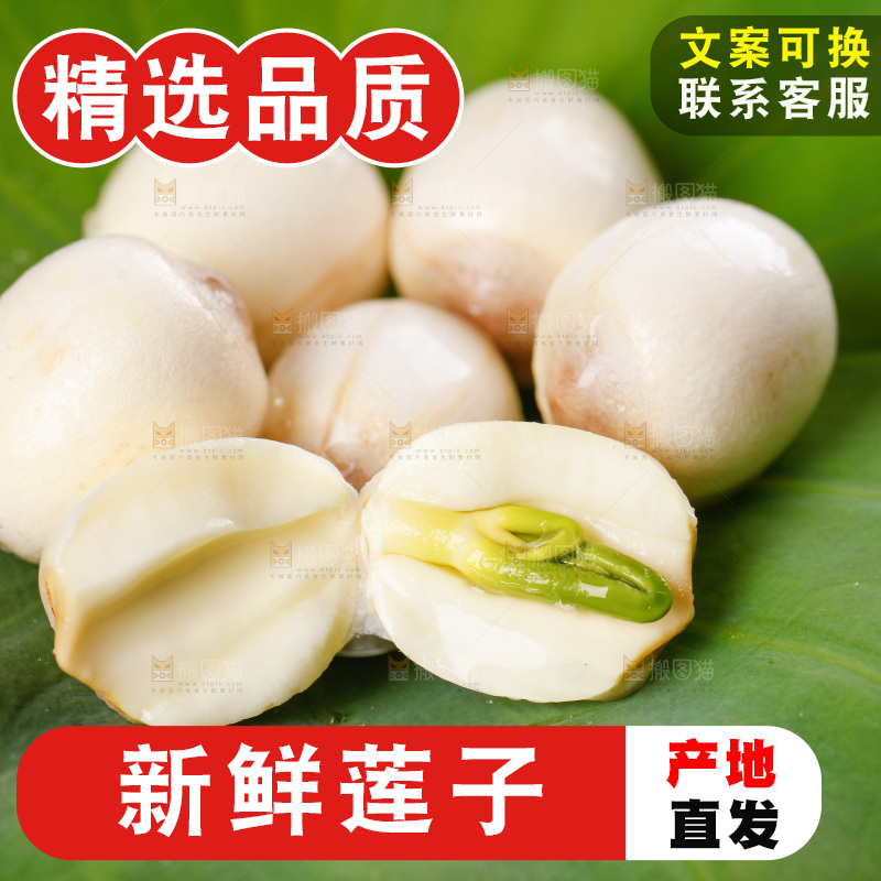荷叶上放着新鲜莲子