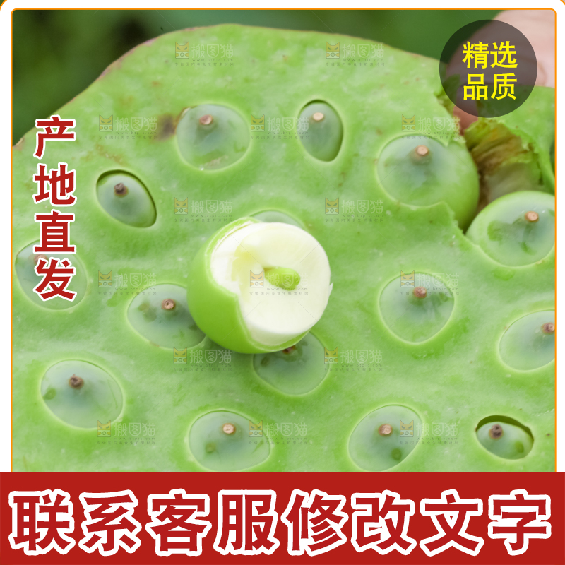手里拿着莲子
