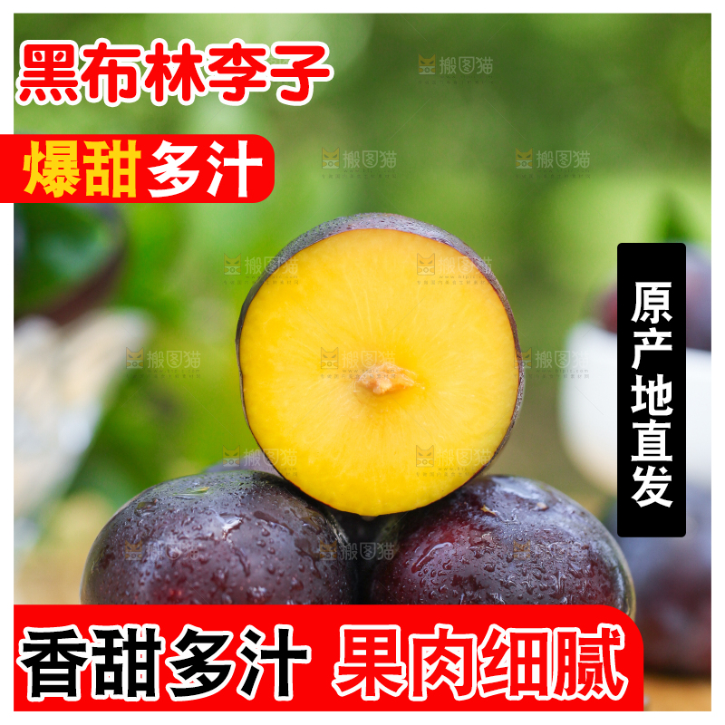 木底上摆放着黑布李