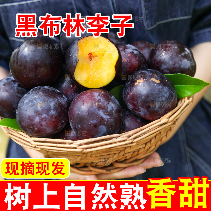 手里端着一篮新鲜黑布李