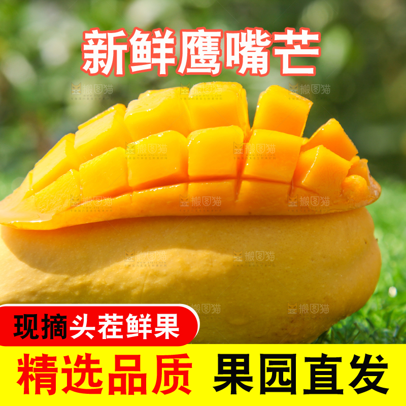 绿草地上摆放着鹰嘴芒果