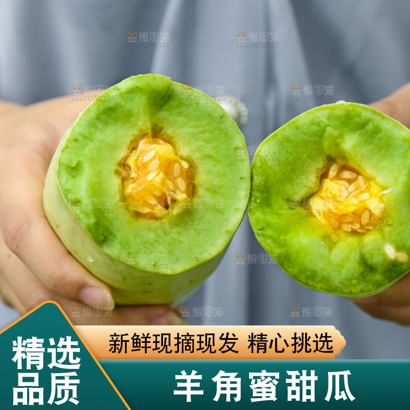 手里拿着山东羊角蜜