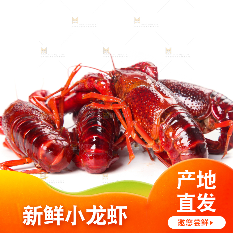 白底上摆放着小龙虾