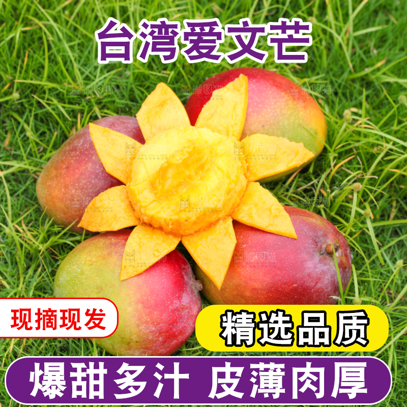 草地上摆放着爱文芒