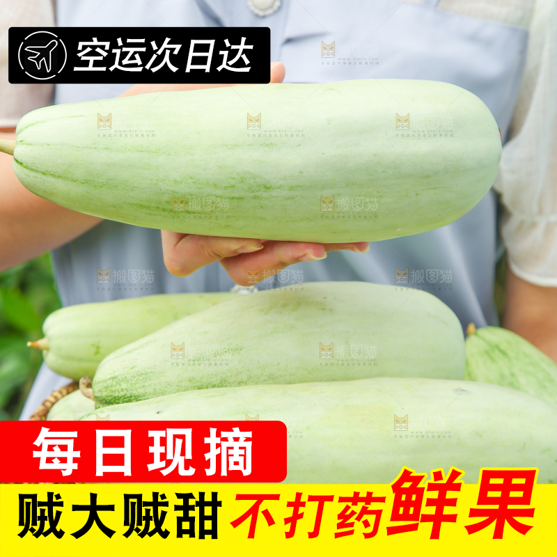 手里端着一篮山东羊角蜜甜瓜