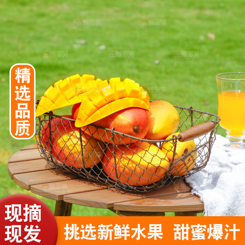 篮子里装着彩芒
