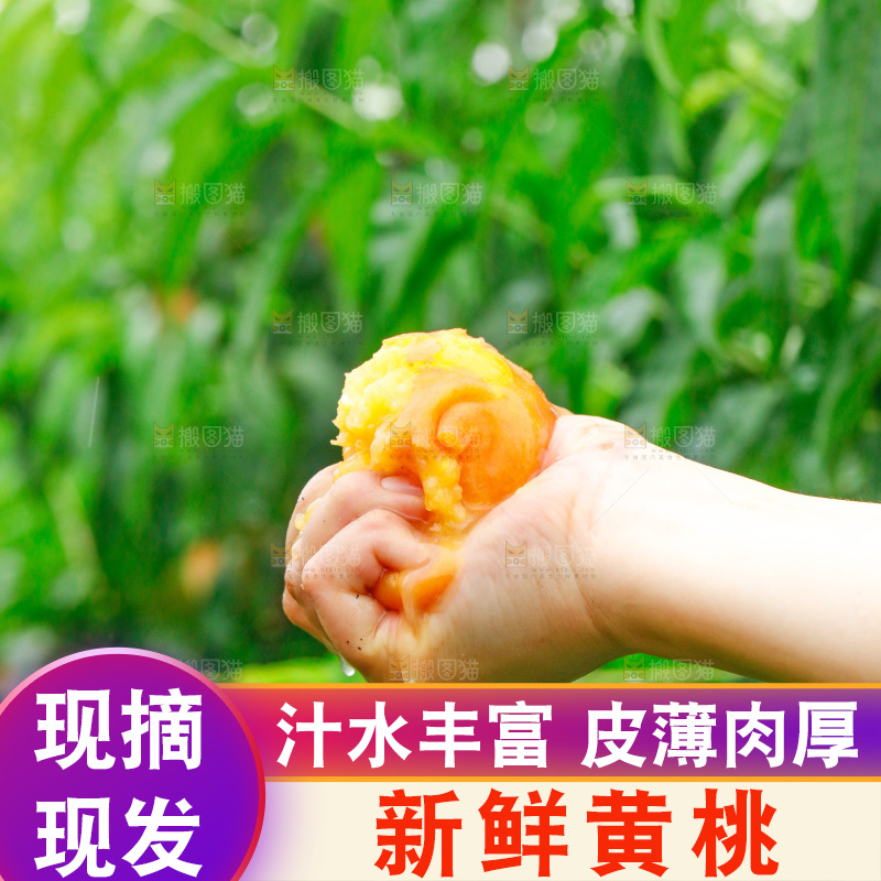 手里拿着新鲜黄桃
