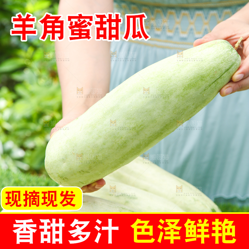 手里拿着脆甜蜜瓜