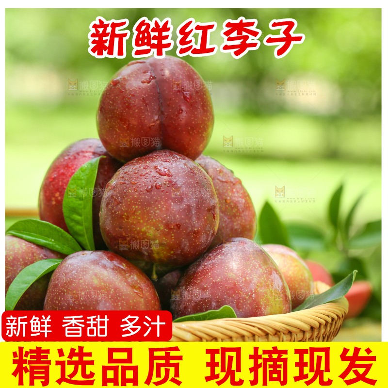 篮子里装着红肉李子