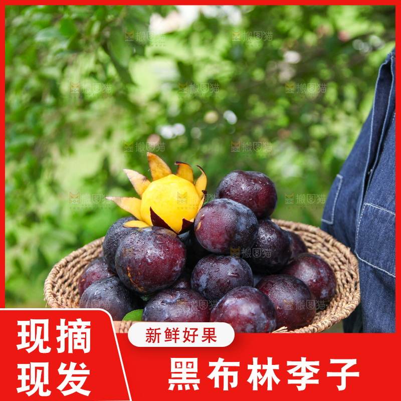 手里端着一篮黑布林