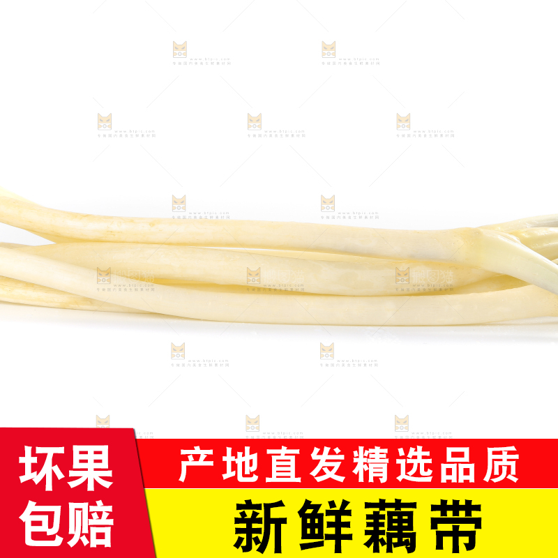 白底上摆放着新鲜藕带