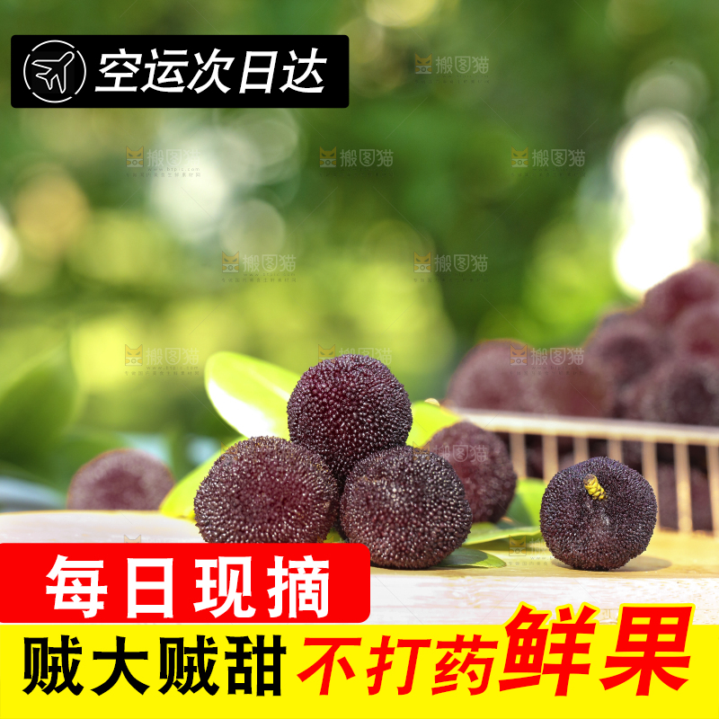 桌子上放着新鲜杨梅