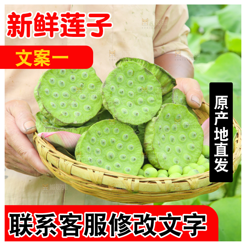 手里端着一篮新鲜莲蓬