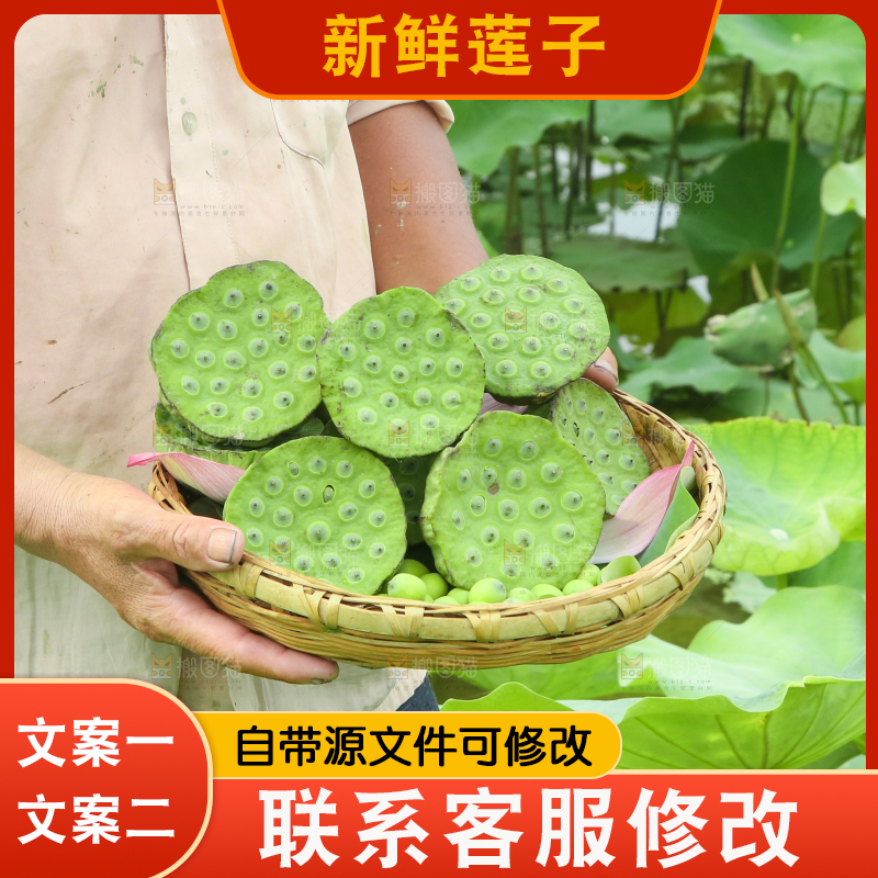 手里端着一篮新鲜莲蓬
