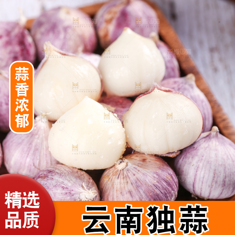 木盒里装着紫皮独头蒜