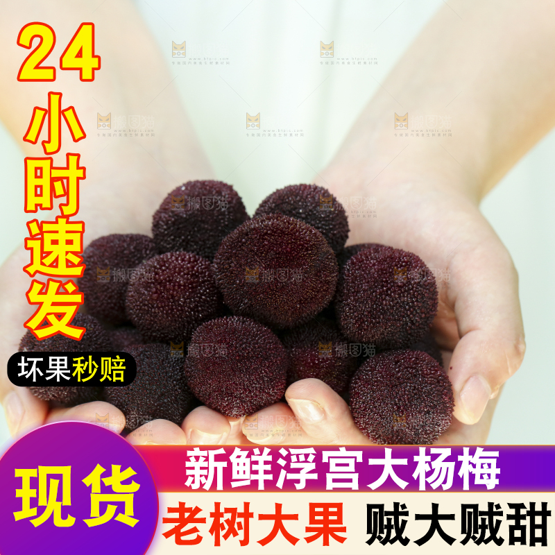 手里捧着新鲜杨梅
