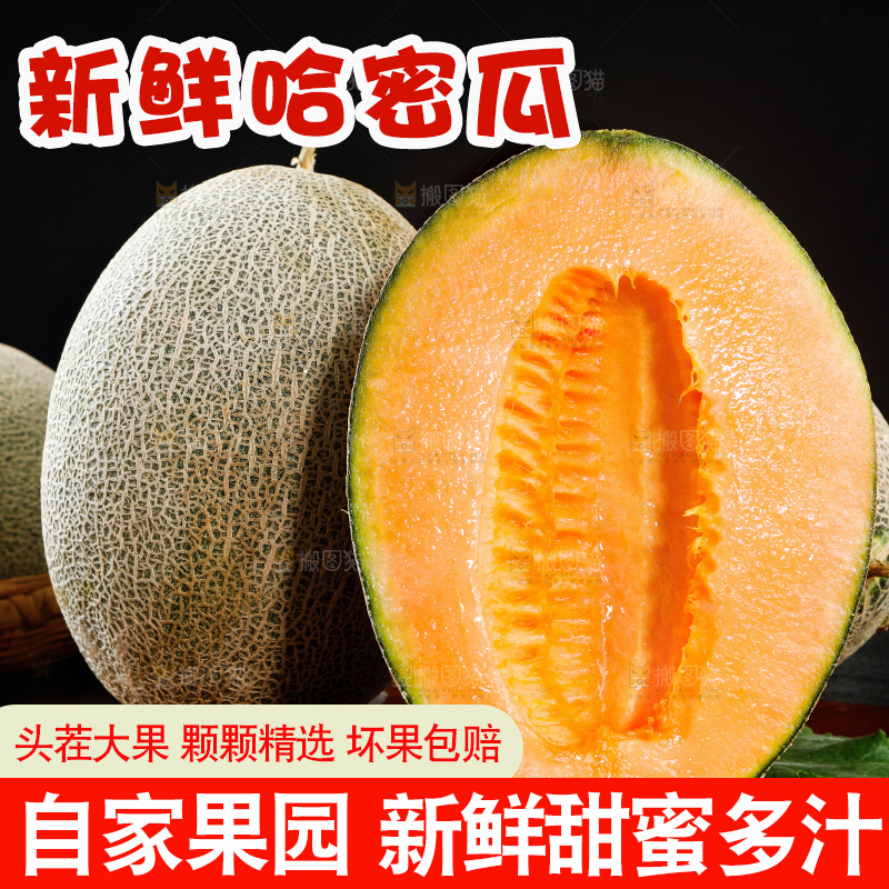 哈密瓜主图