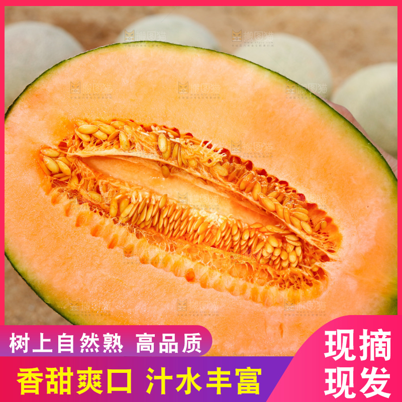 哈密瓜主图