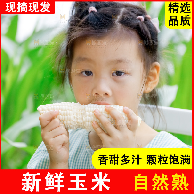 小女孩正在吃牛奶水果玉米