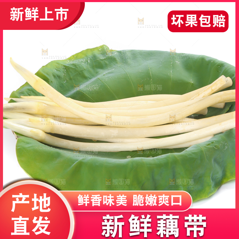 荷叶上放着新鲜藕带