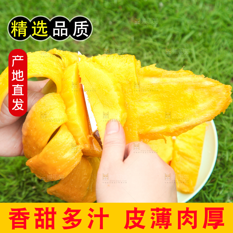 手里拿着苹果芒