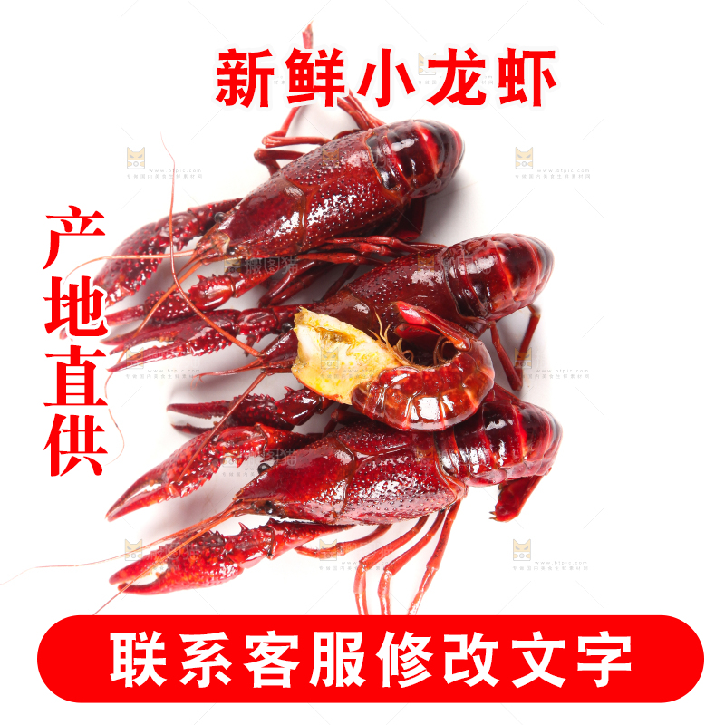 白底上摆放着小龙虾
