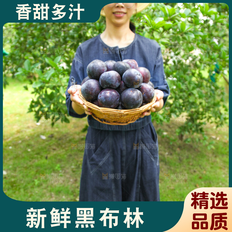 手里端着一篮黑布李