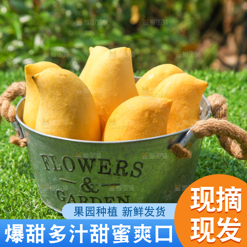 绿草地上放着一小桶鹰嘴芒