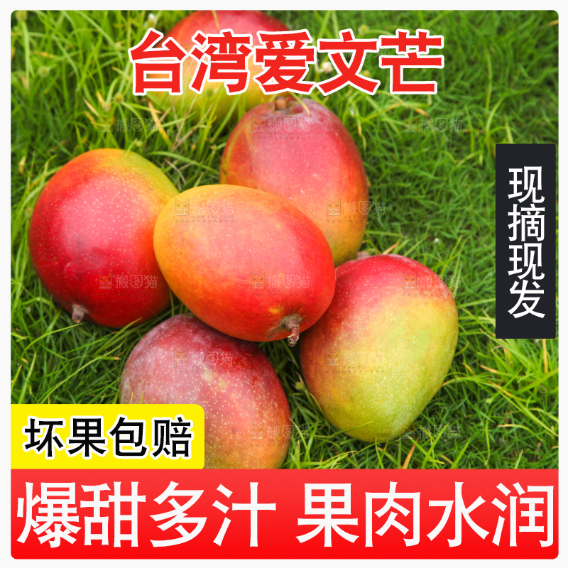 草地上摆放着爱文芒