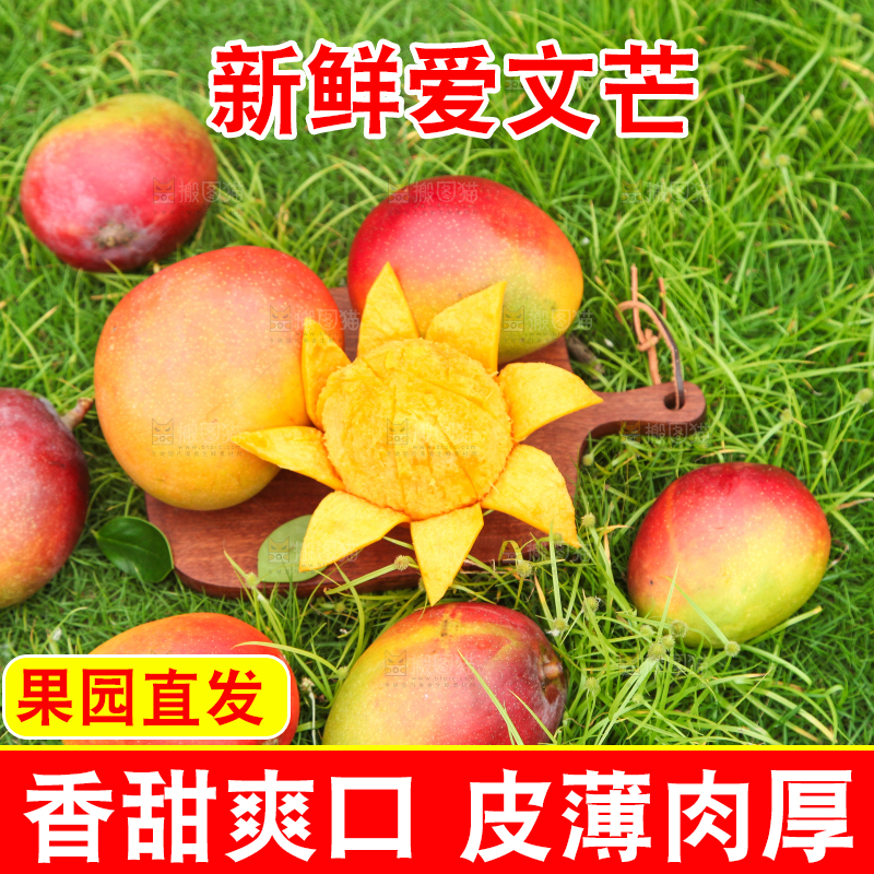 绿草地上摆放着爱文芒