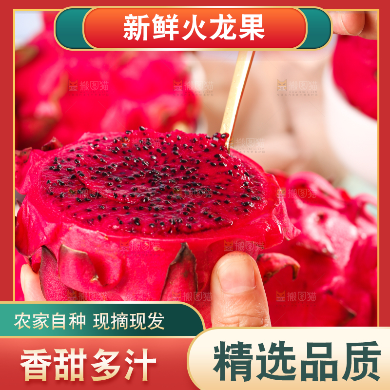 手里拿着红心火龙果