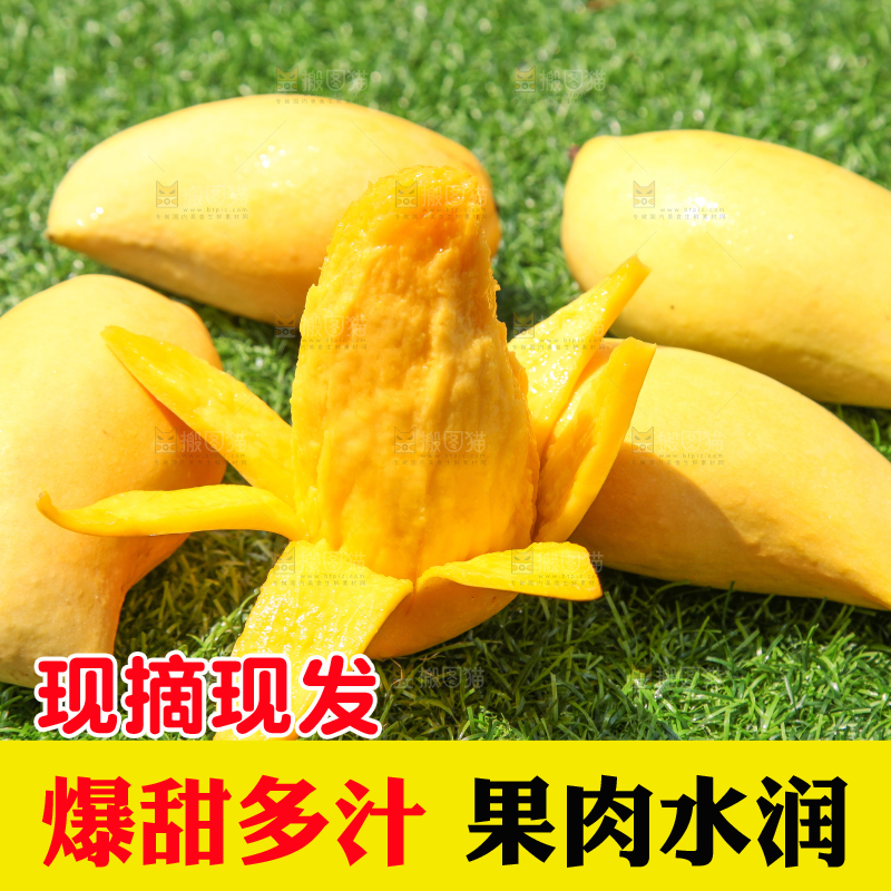 绿草地上摆放着鹰嘴芒果