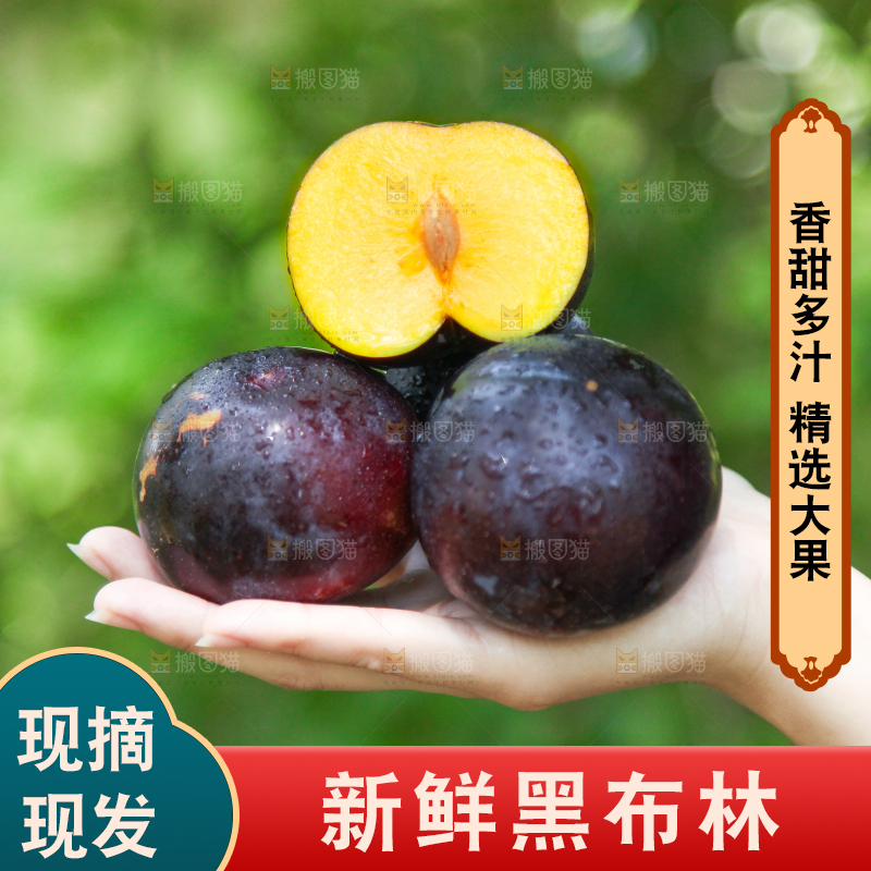 手里拿着黄肉黑布李