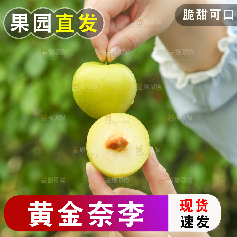 手里拿着黄金奈李