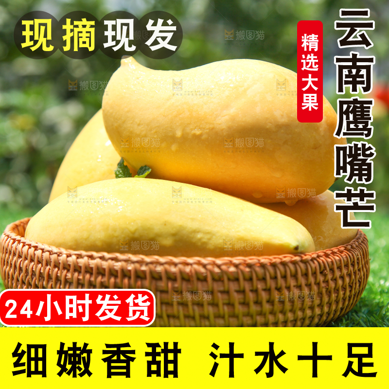 绿草地上放着一篮云南鹰嘴芒