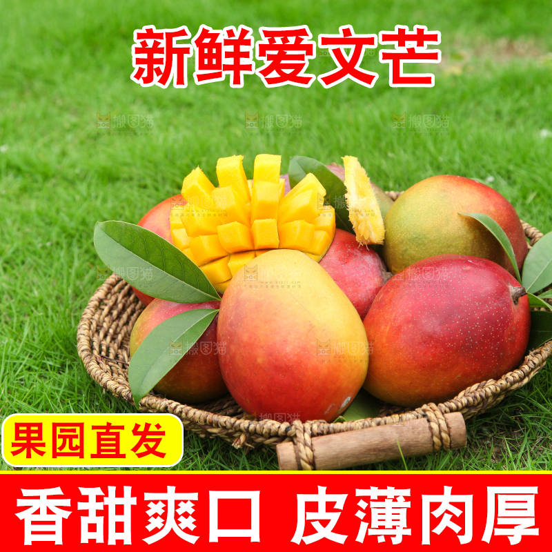 草地上摆放着一篮爱文芒
