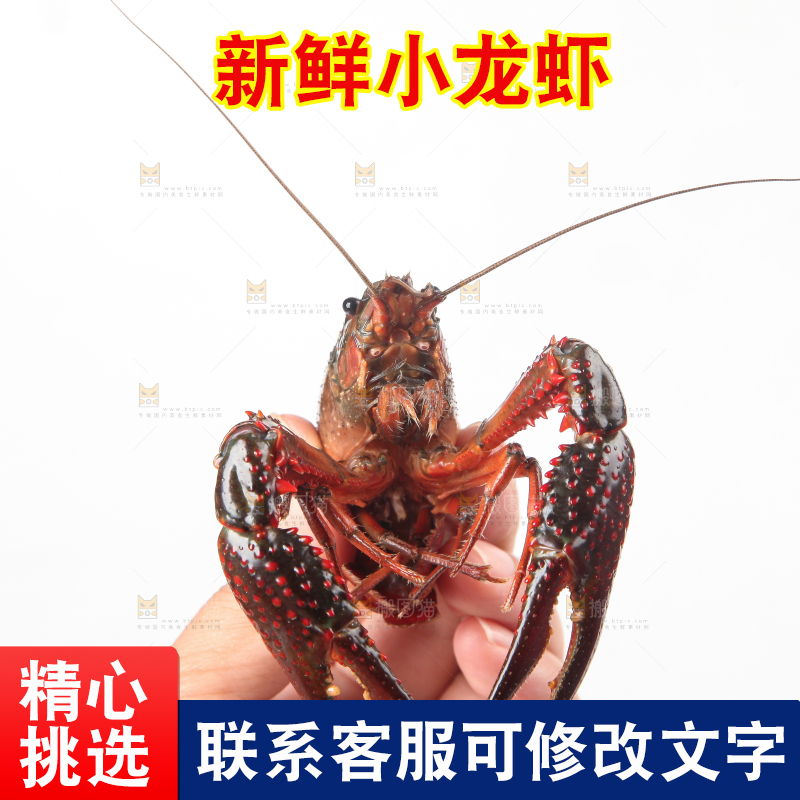 手里拿着鲜活小龙虾