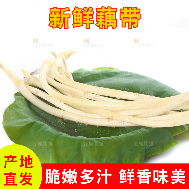 荷叶上放着新鲜藕带