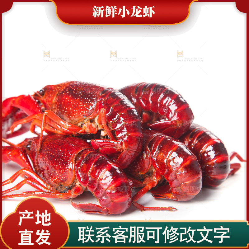 白底上摆放着小龙虾
