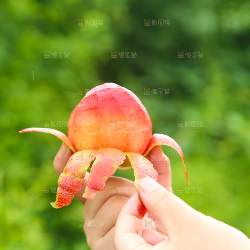 手里拿着红心李