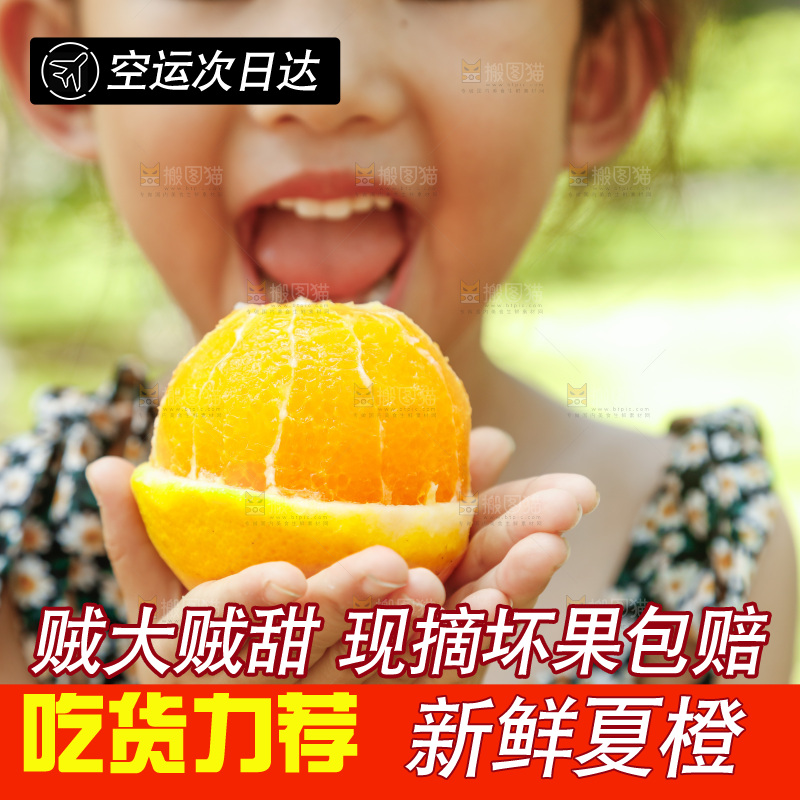 小女孩正在吃橙子