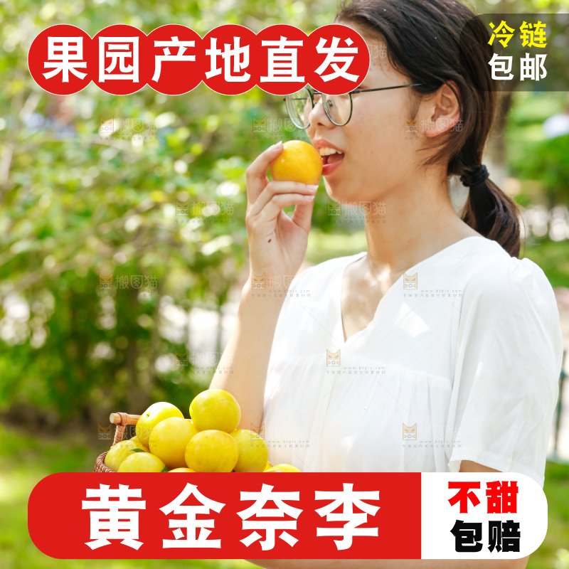 手里拿着新鲜黄金奈李