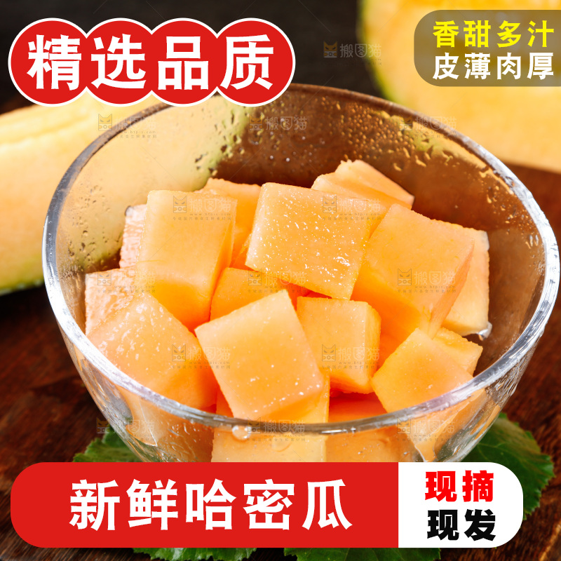 哈密瓜主图