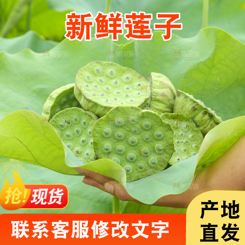 手里拿着莲蓬