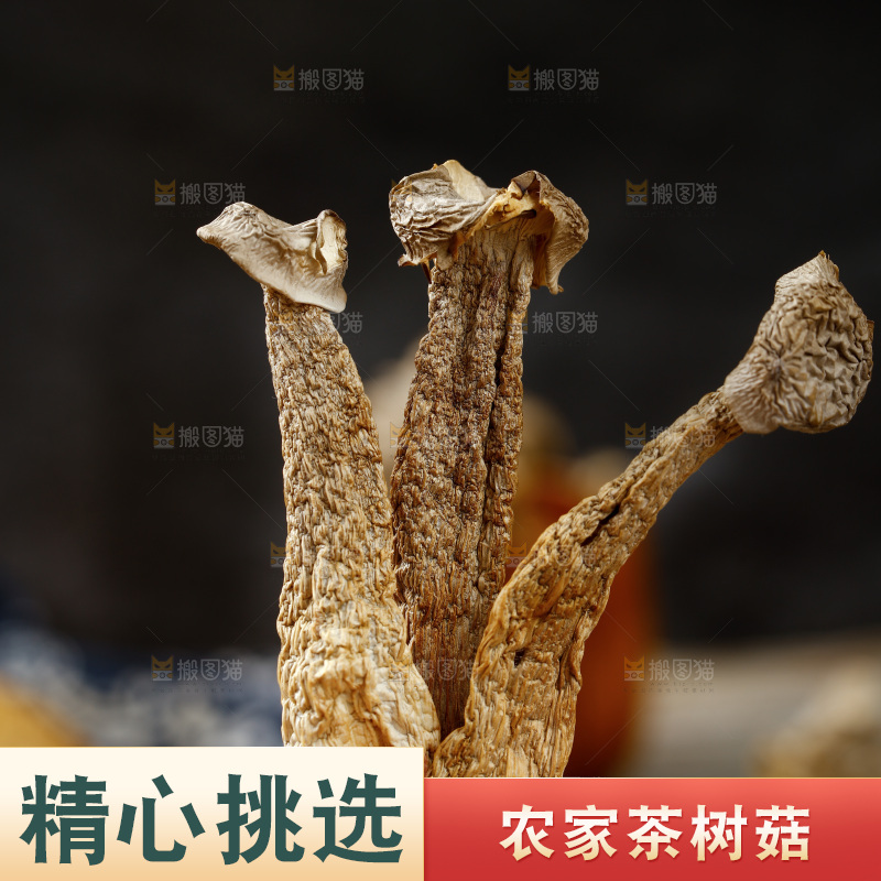手里拿着茶树菇