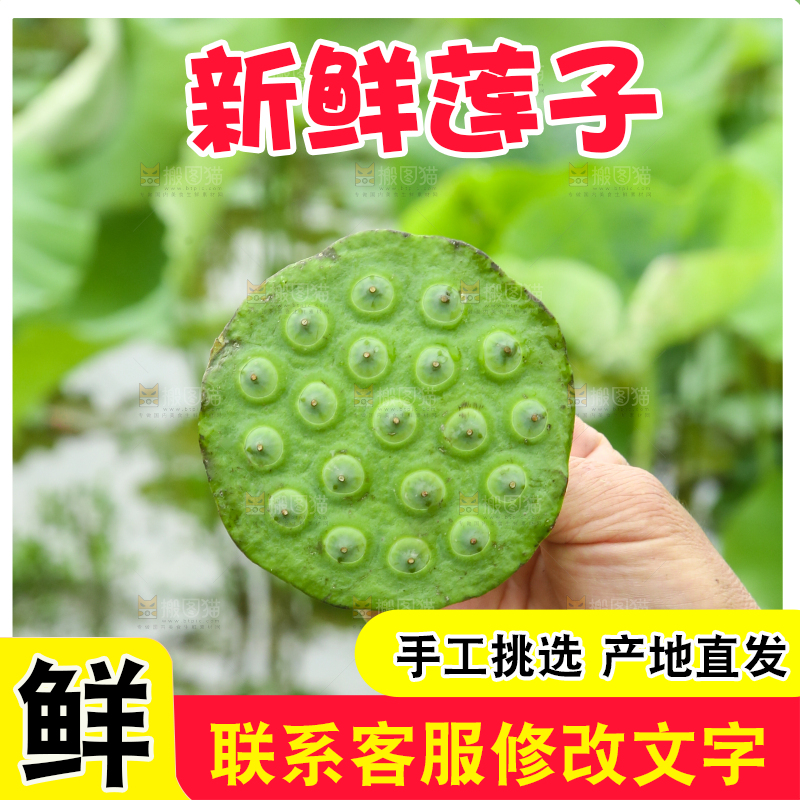 手里拿着莲蓬