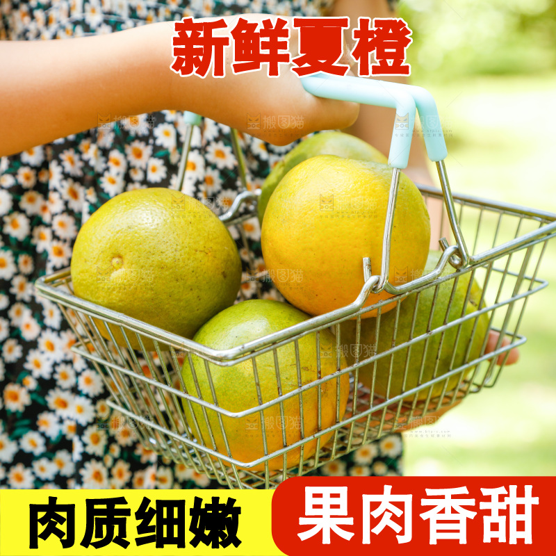 手里提着一篮新鲜夏橙