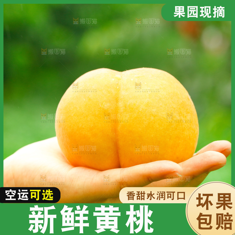 手里拿着鲜黄桃